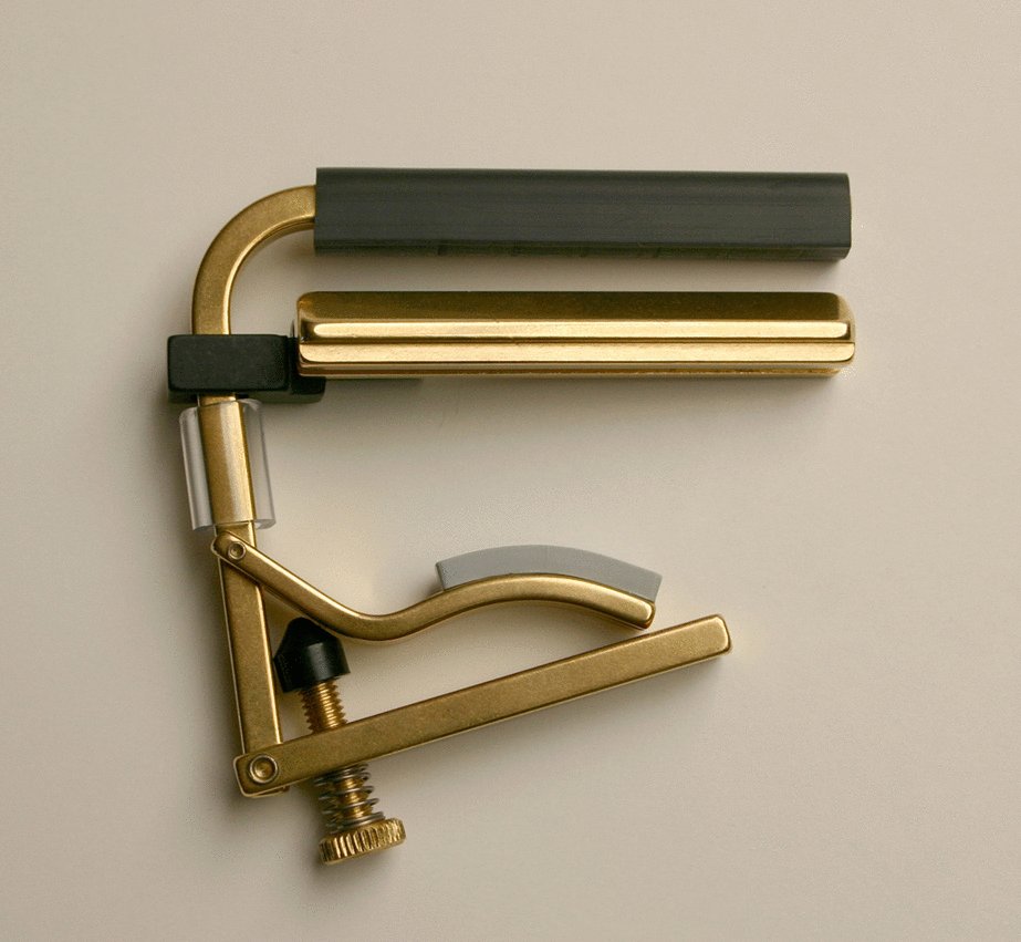 Shubb C6B Dobro Capo