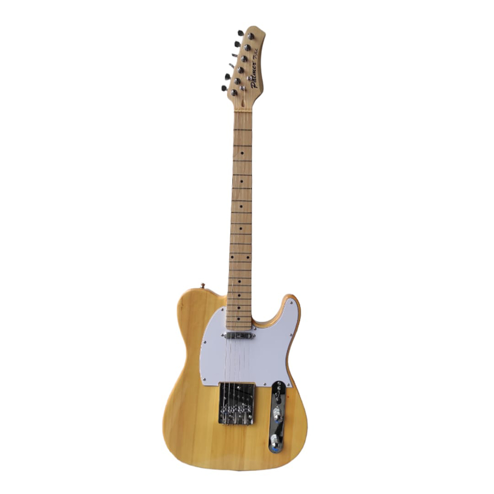 Palmer Palmer T-Style Electric Guitar - Natural And Gig Bag