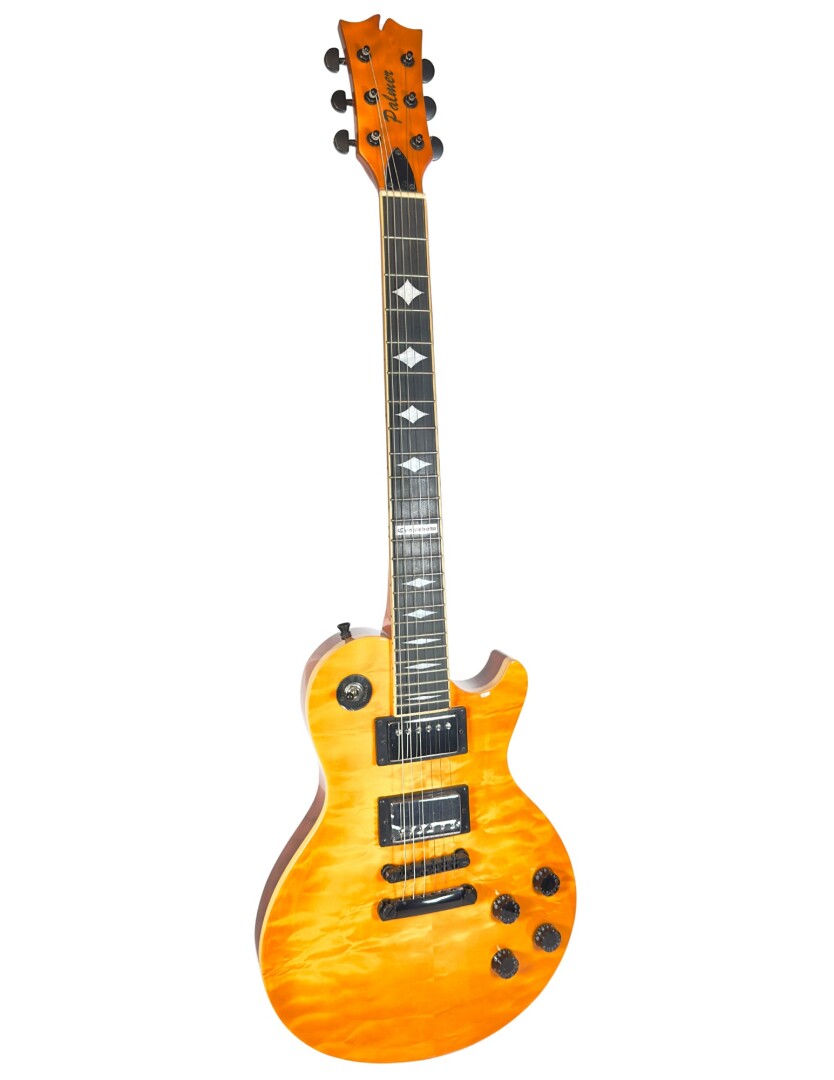 Palmer Crossbow LTD Electric Guitar l Special Series