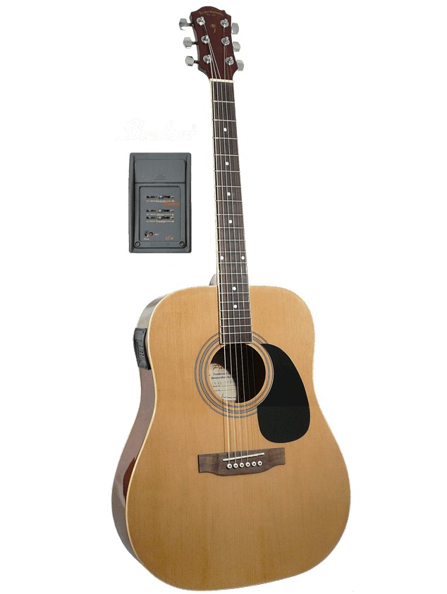Palmer Dreadnought Cutaway Acoustic-Electric, Spruce Top Cherry