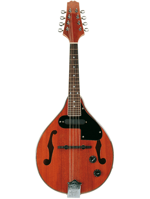 Palmer Acoustic Electric Mandolin - Natural