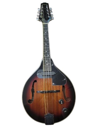 Palmer Acoustic Electric Mandolin - Vintage Sunburst