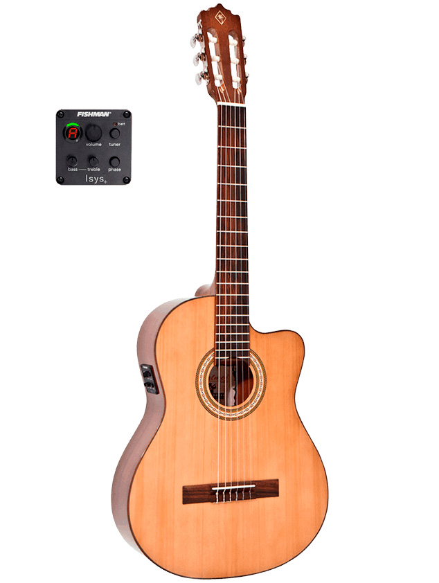 Palmer TANIS CE Classical Guitar, Featuring the Fishman Isys 301+ Prea