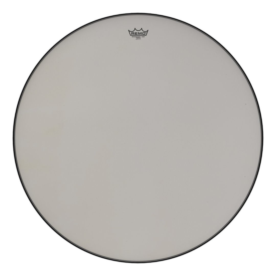 Remo RC-3100-LA RC-Series Renaissance Hazy Low Profile Steel Insert Ti
